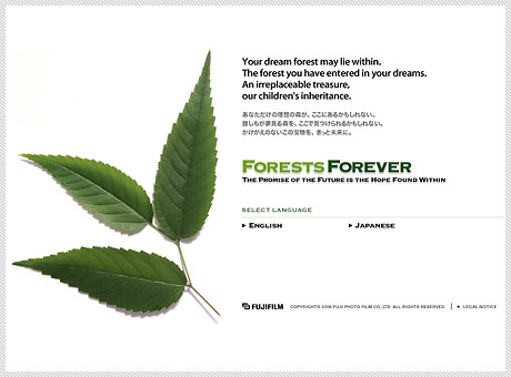forests.jpg