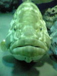 Image060.jpg