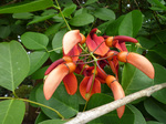 P1000635.JPG
